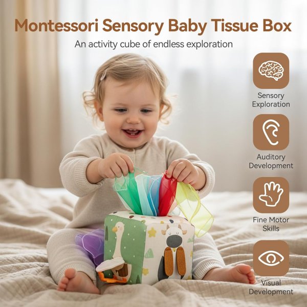 Tissue Box Toy