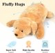 Stuffed Teddy Bear - Dog
