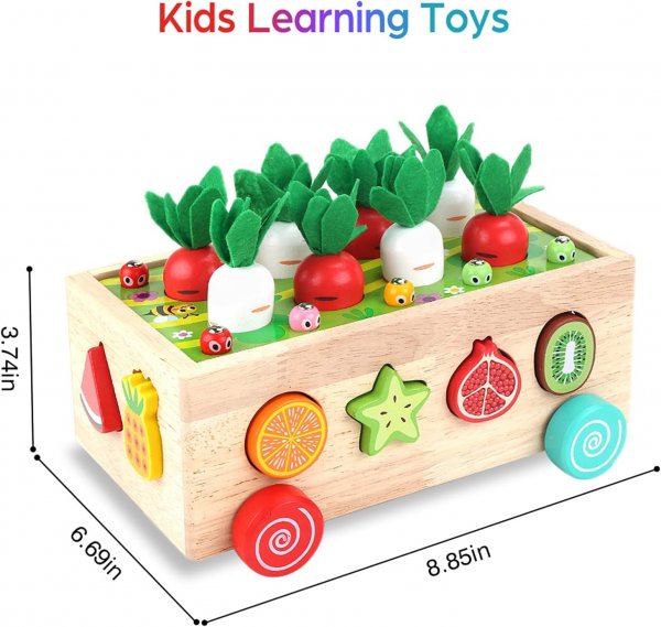 Wooden Educational Toys