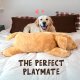 Stuffed Teddy Bear - Dog